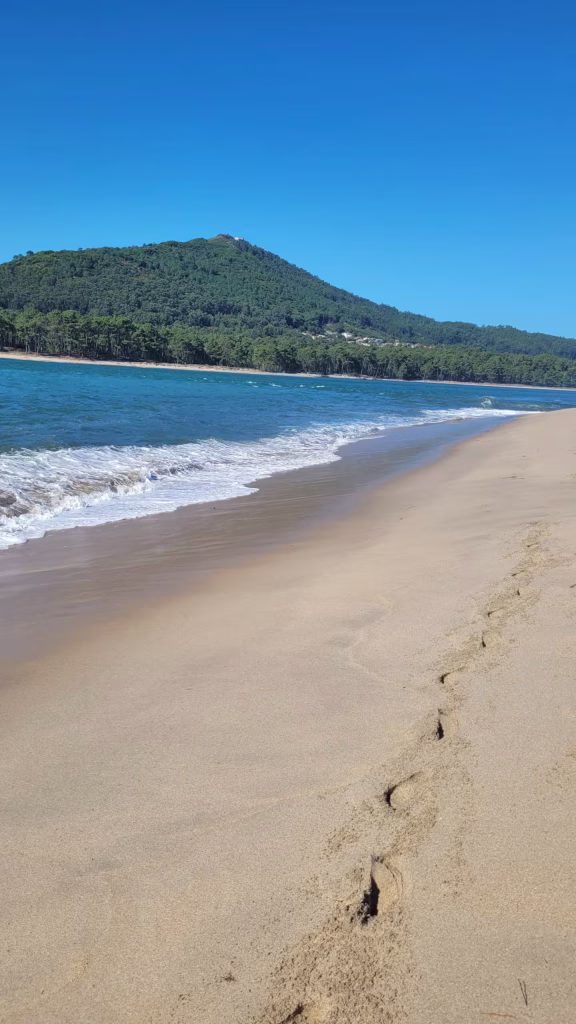 moledobeach